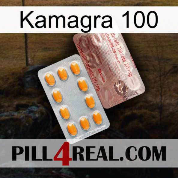 Kamagra 100 new13.jpg